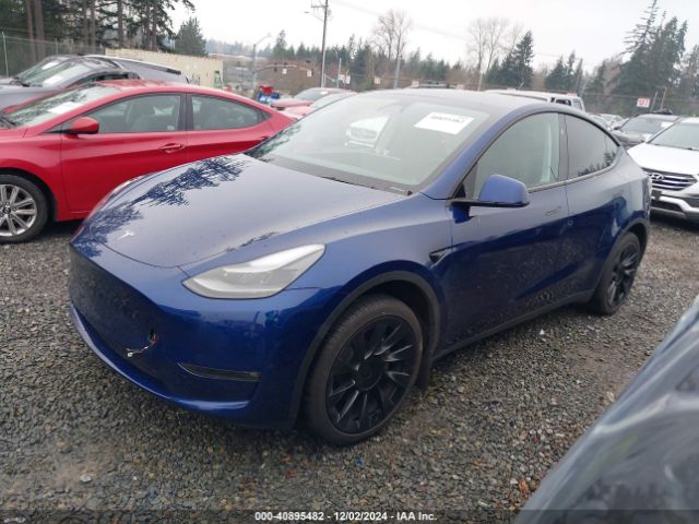 Photo 1 VIN: 7SAYGDEE9RF066607 - TESLA MODEL Y 