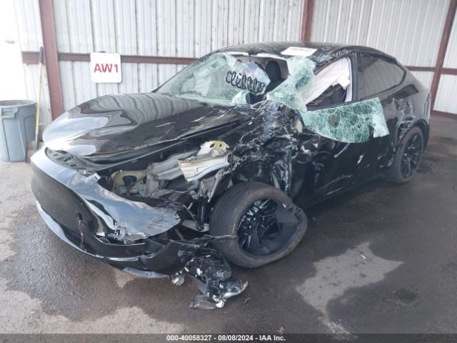 Photo 1 VIN: 7SAYGDEE9RF981425 - TESLA MODEL Y 