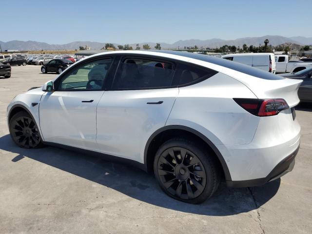 Photo 1 VIN: 7SAYGDEEXNA021800 - TESLA MODEL Y 