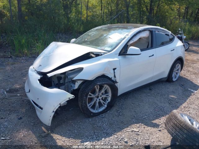 Photo 1 VIN: 7SAYGDEEXNF355439 - TESLA MODEL Y 