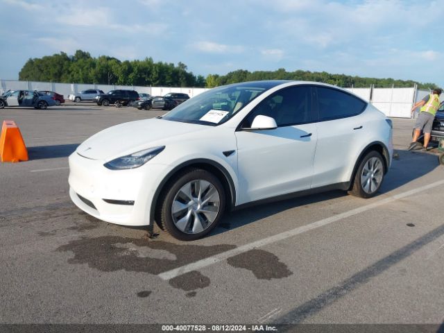 Photo 1 VIN: 7SAYGDEEXNF357966 - TESLA MODEL Y 