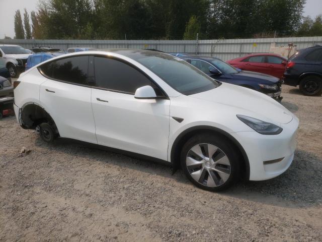 Photo 3 VIN: 7SAYGDEEXNF371740 - TESLA MODEL Y 