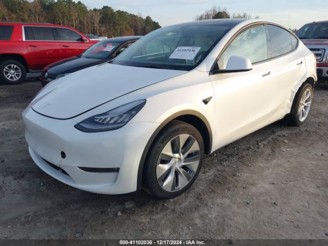 Photo 1 VIN: 7SAYGDEEXNF425392 - TESLA MODEL Y 