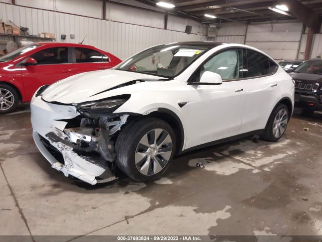 Photo 1 VIN: 7SAYGDEEXNF425781 - TESLA MODEL Y 