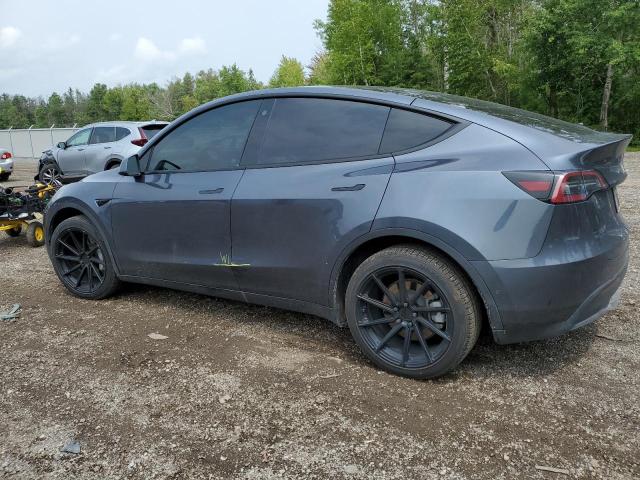 Photo 1 VIN: 7SAYGDEEXNF522169 - TESLA MODEL Y 