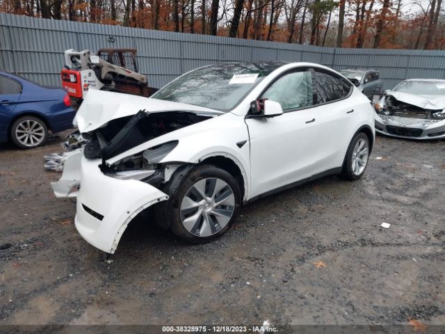 Photo 1 VIN: 7SAYGDEEXNF538260 - TESLA MODEL Y 