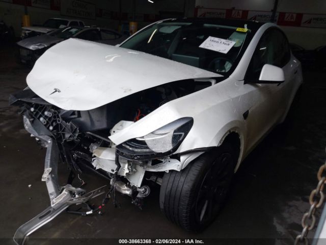 Photo 1 VIN: 7SAYGDEEXNF558380 - TESLA MODEL Y 