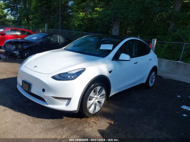 Photo 1 VIN: 7SAYGDEEXPA106235 - TESLA MODEL Y 