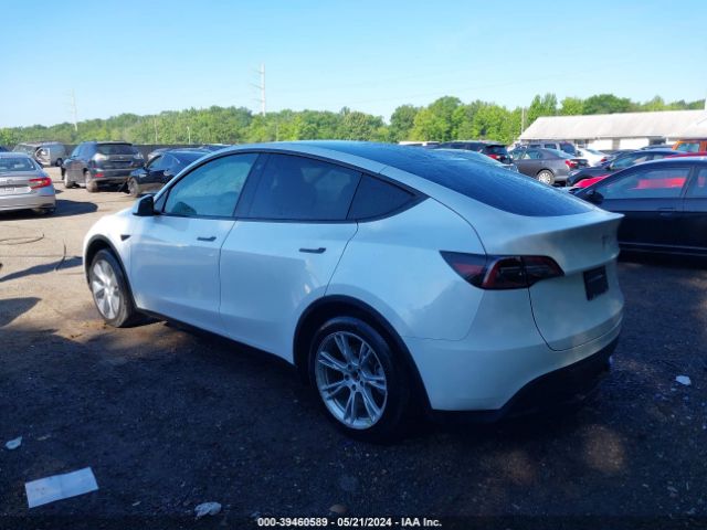 Photo 2 VIN: 7SAYGDEEXPA106235 - TESLA MODEL Y 