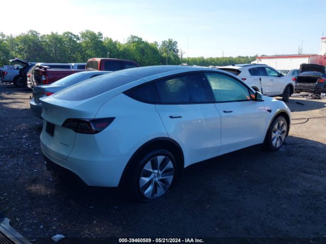 Photo 3 VIN: 7SAYGDEEXPA106235 - TESLA MODEL Y 