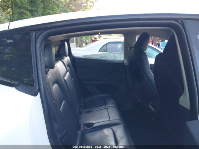 Photo 7 VIN: 7SAYGDEEXPA106235 - TESLA MODEL Y 