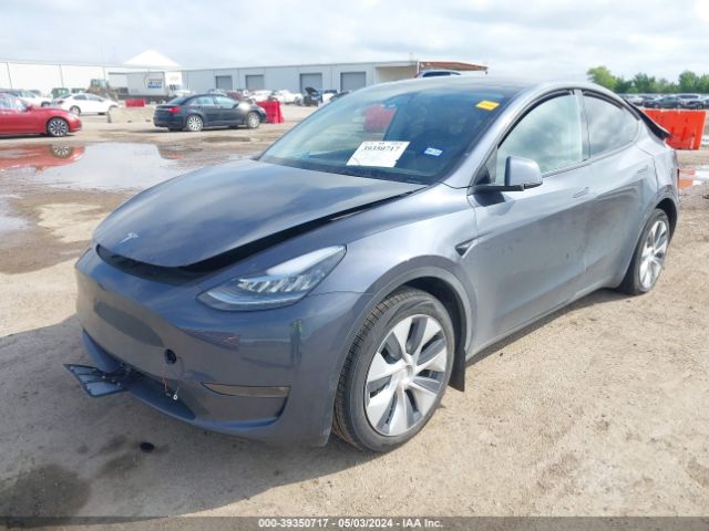 Photo 1 VIN: 7SAYGDEEXPA146590 - TESLA MODEL Y 