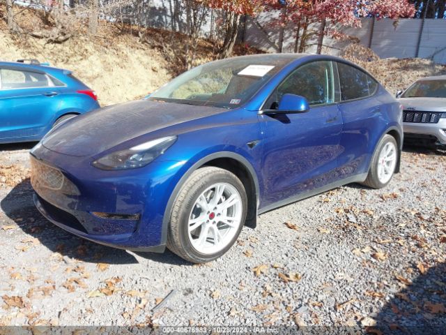 Photo 1 VIN: 7SAYGDEEXPF671507 - TESLA MODEL Y 