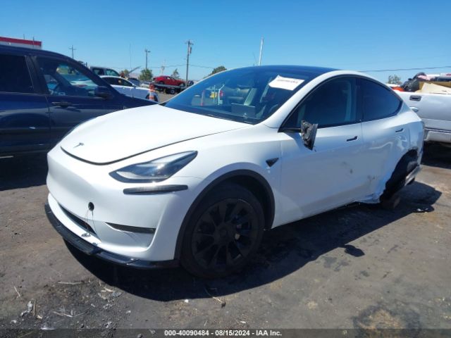 Photo 1 VIN: 7SAYGDEEXPF676013 - TESLA MODEL Y 