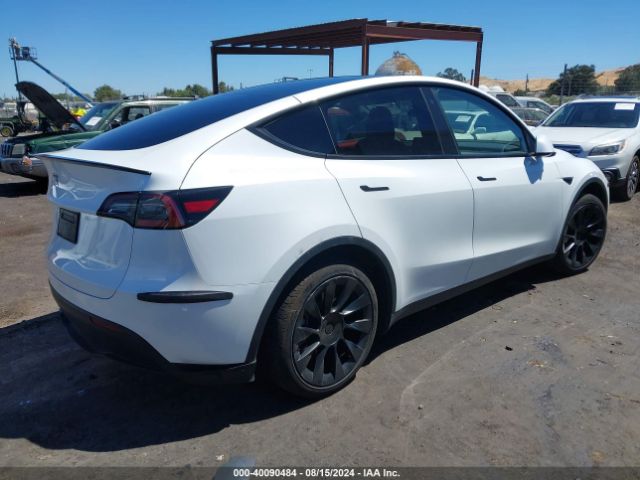 Photo 3 VIN: 7SAYGDEEXPF676013 - TESLA MODEL Y 