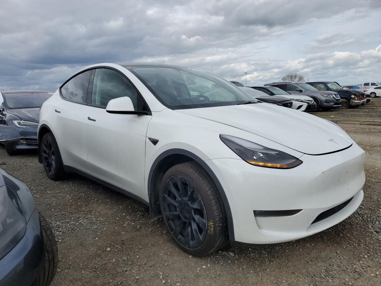 Photo 0 VIN: 7SAYGDEEXPF676514 - TESLA MODEL Y 