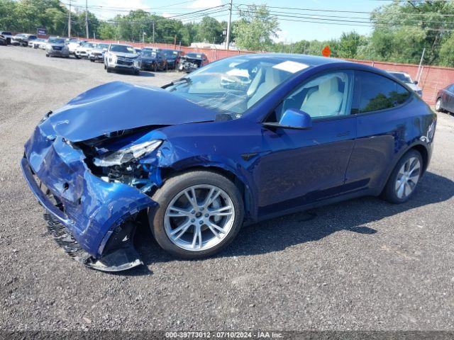 Photo 1 VIN: 7SAYGDEEXPF703419 - TESLA MODEL Y 