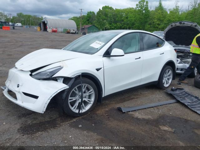 Photo 1 VIN: 7SAYGDEEXPF799455 - TESLA MODEL Y 