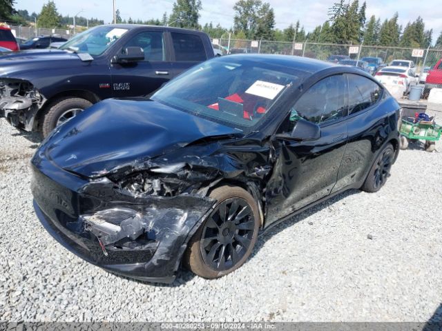 Photo 1 VIN: 7SAYGDEEXPF816495 - TESLA MODEL Y 