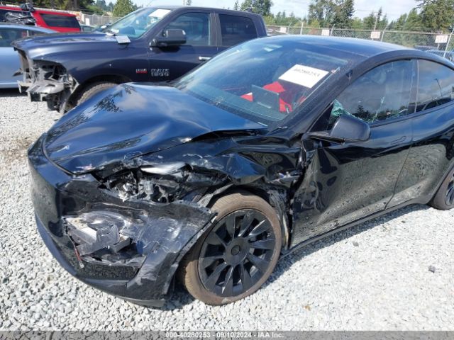 Photo 5 VIN: 7SAYGDEEXPF816495 - TESLA MODEL Y 