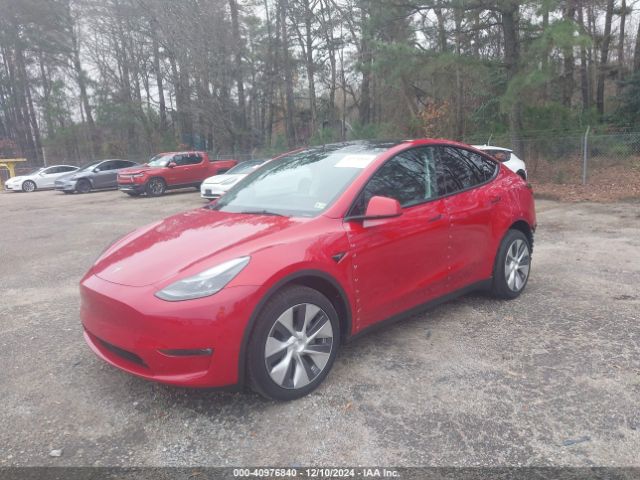 Photo 1 VIN: 7SAYGDEEXPF839081 - TESLA MODEL Y 