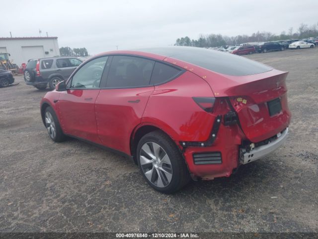 Photo 2 VIN: 7SAYGDEEXPF839081 - TESLA MODEL Y 