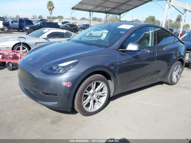 Photo 1 VIN: 7SAYGDEEXPF852980 - TESLA MODEL Y 