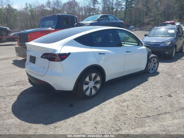 Photo 3 VIN: 7SAYGDEEXPF875644 - TESLA MODEL Y 