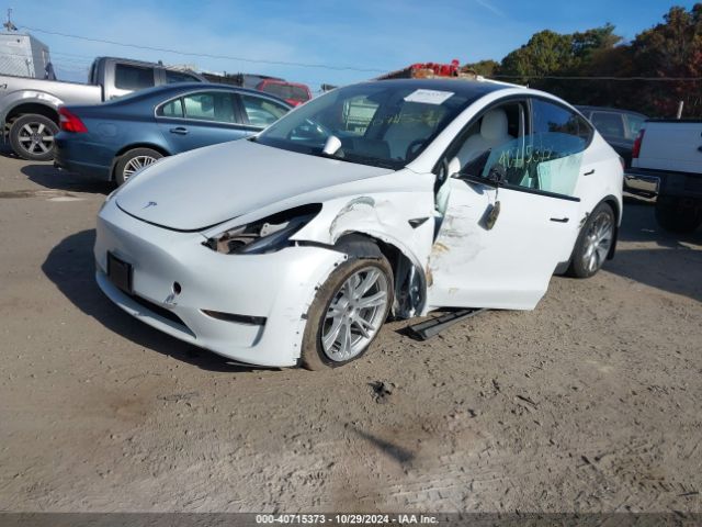 Photo 1 VIN: 7SAYGDEEXPF876275 - TESLA MODEL Y 