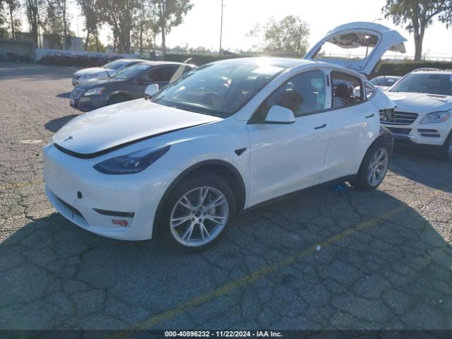 Photo 1 VIN: 7SAYGDEEXPF896297 - TESLA MODEL Y 