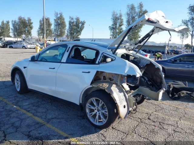 Photo 2 VIN: 7SAYGDEEXPF896297 - TESLA MODEL Y 