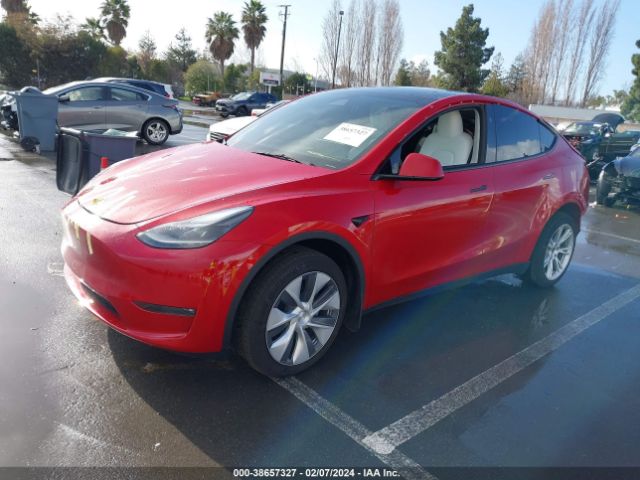 Photo 1 VIN: 7SAYGDEEXPF908934 - TESLA MODEL Y 