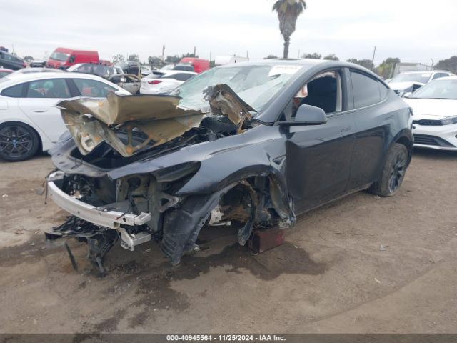 Photo 1 VIN: 7SAYGDEEXRA237667 - TESLA MODEL Y 