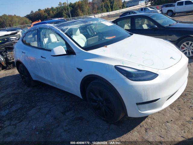 Photo 0 VIN: 7SAYGDEEXRA313534 - TESLA MODEL Y 