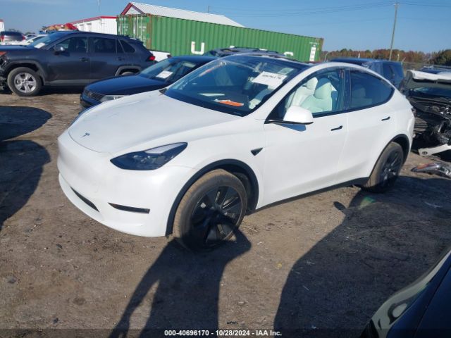 Photo 1 VIN: 7SAYGDEEXRA313534 - TESLA MODEL Y 