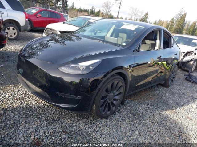 Photo 1 VIN: 7SAYGDEF0NF406262 - TESLA MODEL Y 