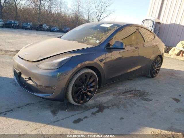 Photo 1 VIN: 7SAYGDEF0PF830009 - TESLA MODEL Y 