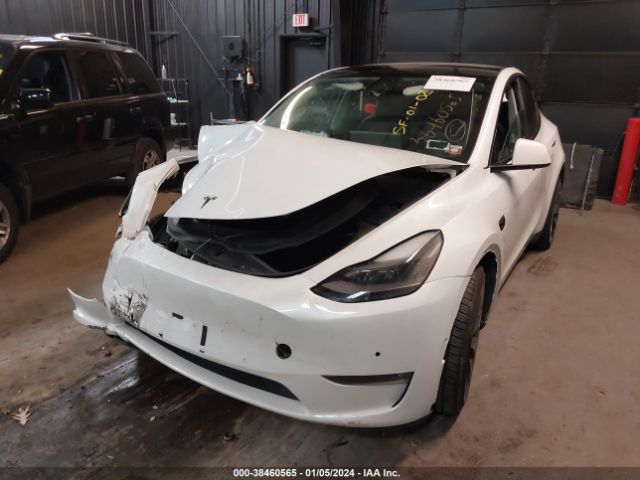 Photo 1 VIN: 7SAYGDEF1NF307286 - TESLA MODEL Y 