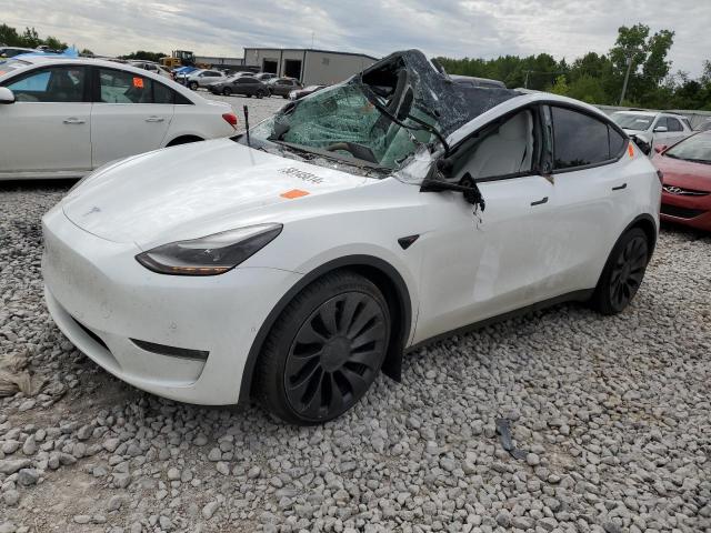 Photo 0 VIN: 7SAYGDEF1NF341292 - TESLA MODEL Y 