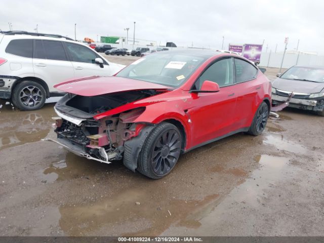 Photo 1 VIN: 7SAYGDEF1NF382392 - TESLA MODEL Y 