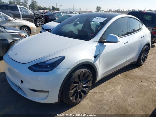 Photo 1 VIN: 7SAYGDEF1NF388578 - TESLA MODEL Y 