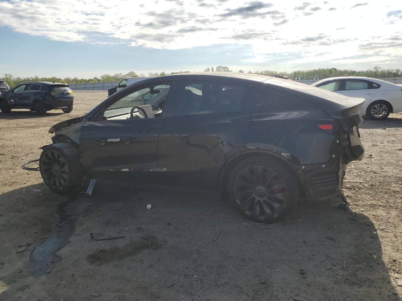 Photo 1 VIN: 7SAYGDEF1NF415343 - TESLA MODEL Y 