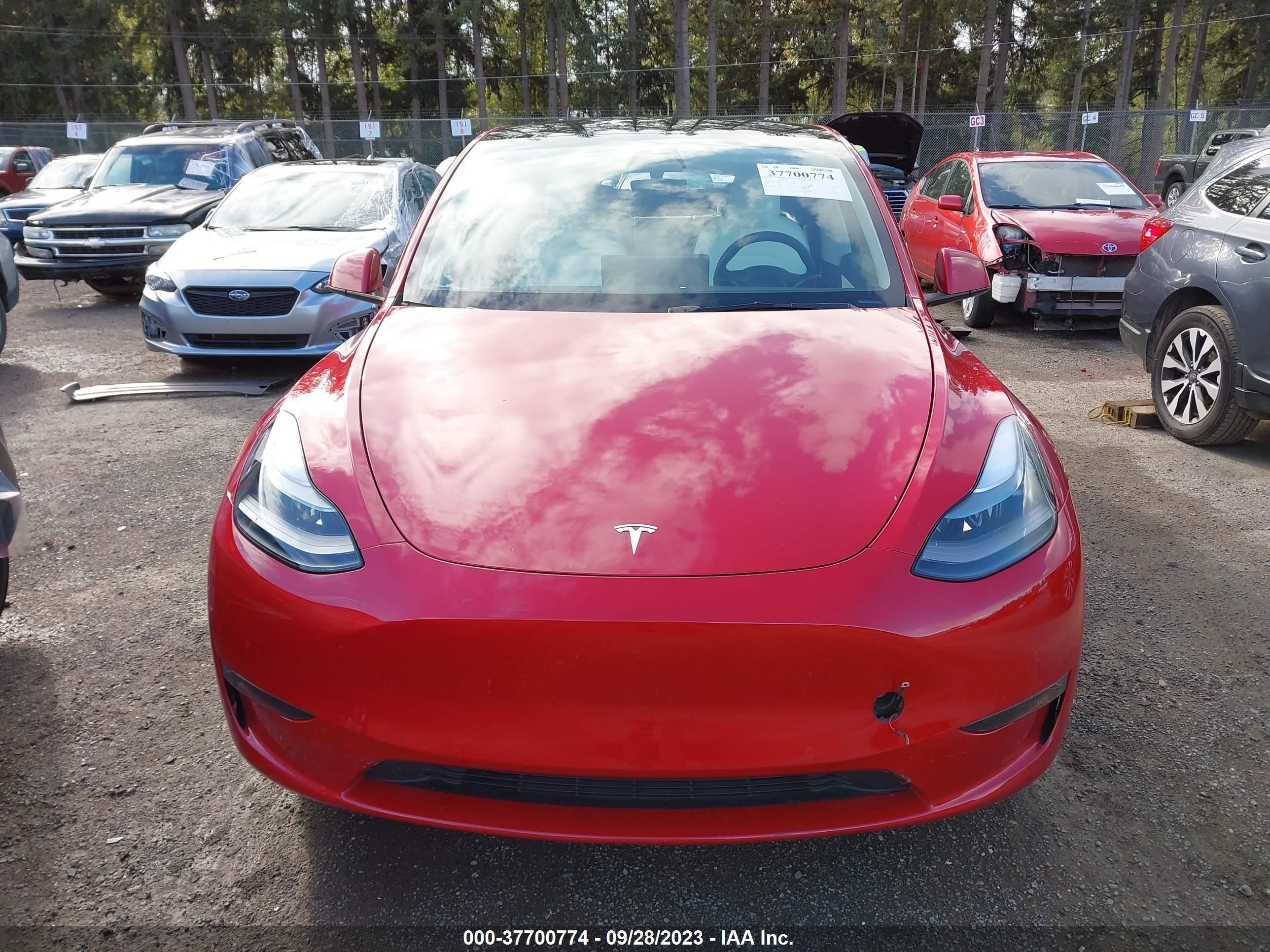 Photo 11 VIN: 7SAYGDEF1NF416735 - TESLA MODEL Y 