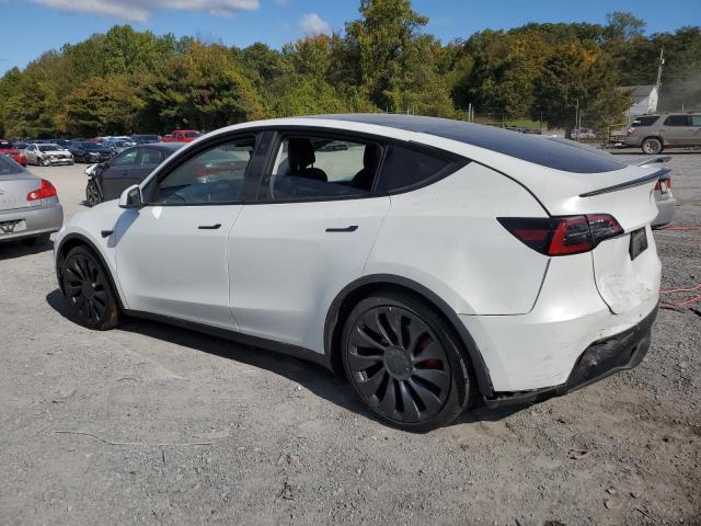 Photo 1 VIN: 7SAYGDEF1NF466356 - TESLA MODEL Y 