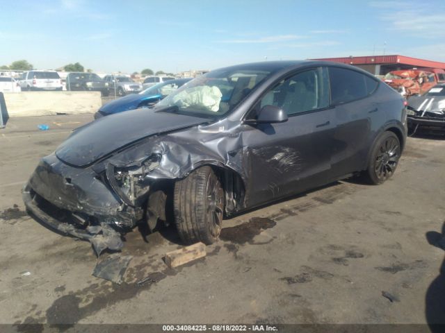 Photo 1 VIN: 7SAYGDEF1NF490253 - TESLA MODEL Y 