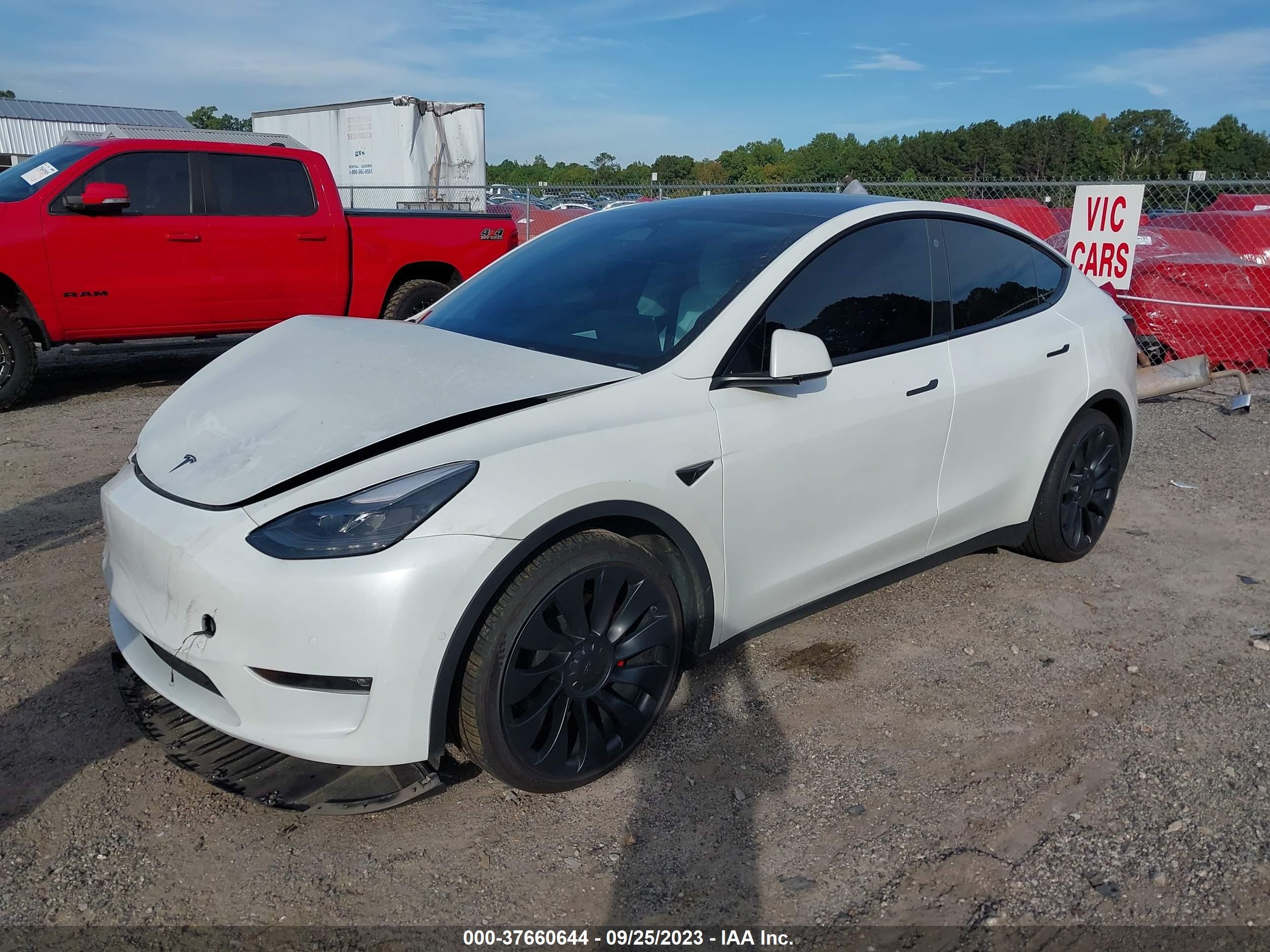 Photo 1 VIN: 7SAYGDEF1NF517189 - TESLA MODEL Y 