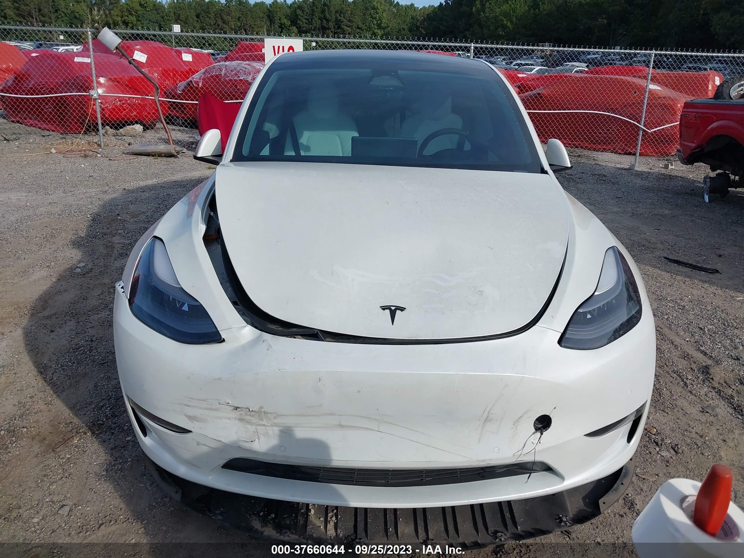 Photo 10 VIN: 7SAYGDEF1NF517189 - TESLA MODEL Y 