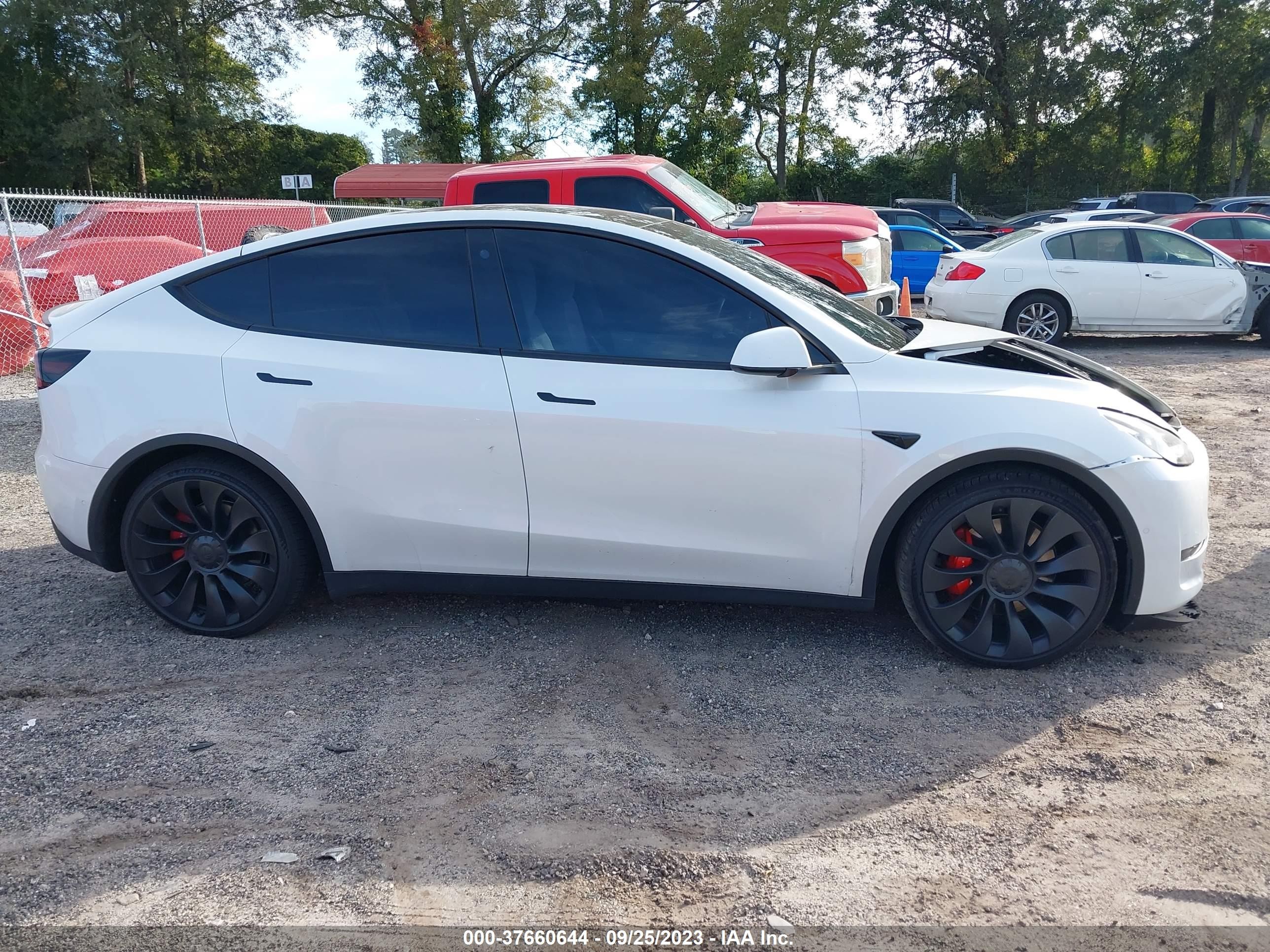 Photo 11 VIN: 7SAYGDEF1NF517189 - TESLA MODEL Y 