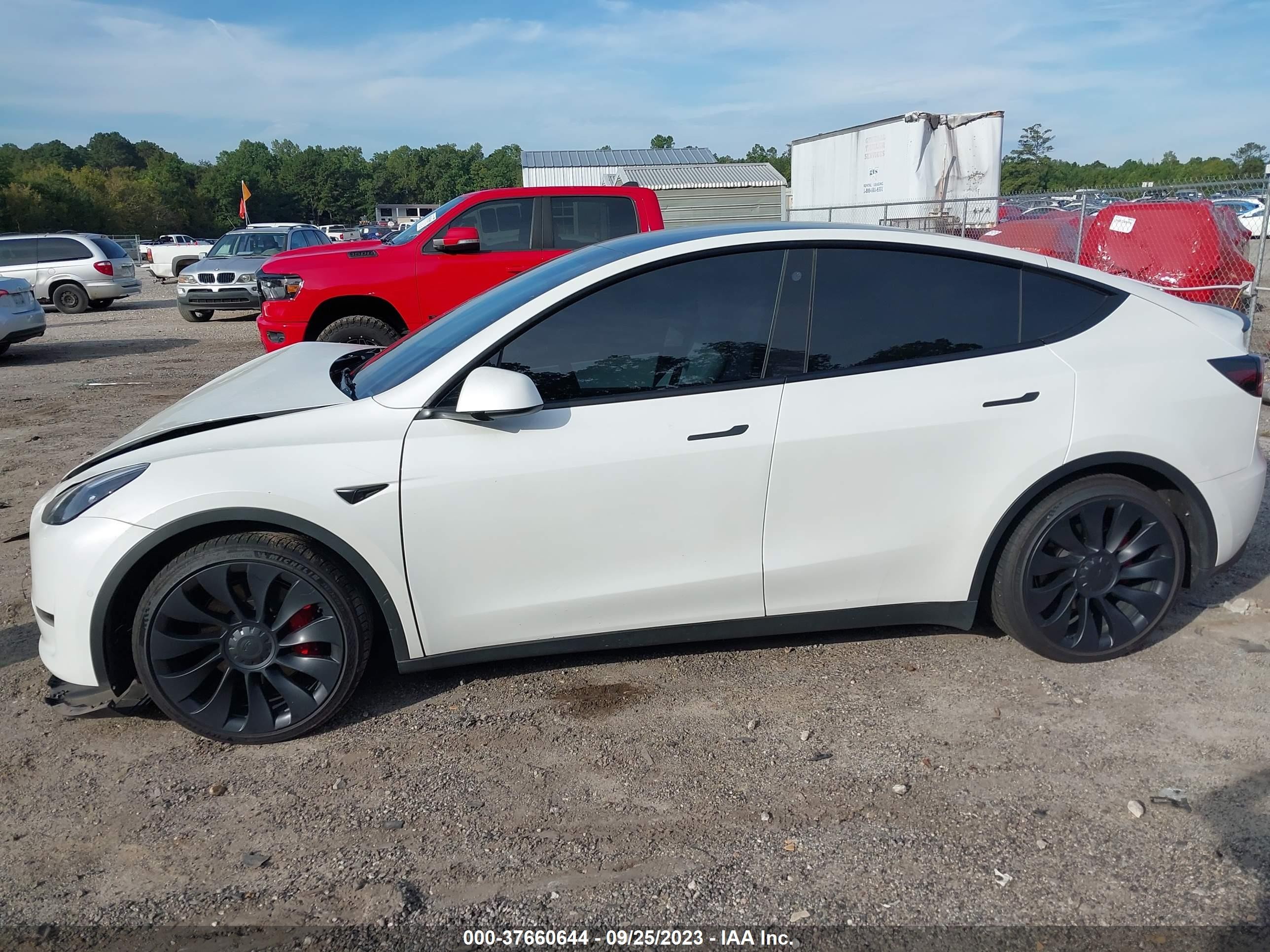 Photo 12 VIN: 7SAYGDEF1NF517189 - TESLA MODEL Y 