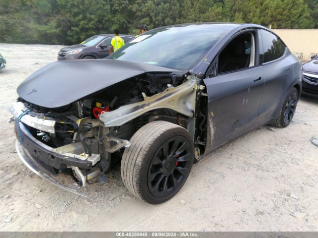 Photo 1 VIN: 7SAYGDEF1PF596642 - TESLA MODEL Y 